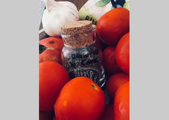 Apartamento Casa Pierina *